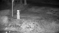 Běžecký lyžařský areál Nová Ves - horní část