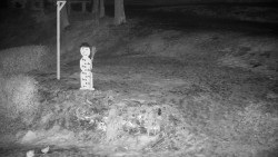 Běžecký lyžařský areál Nová Ves - horní část