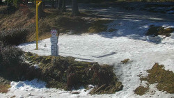 Běžecký lyžařský areál Nová Ves - horní část