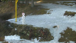 Běžecký lyžařský areál Nová Ves - horní část