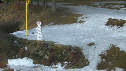 Běžecký lyžařský areál Nová Ves - horní část