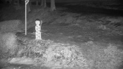 Běžecký lyžařský areál Nová Ves - horní část