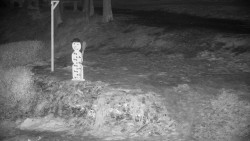 Běžecký lyžařský areál Nová Ves - horní část