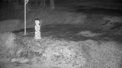 Běžecký lyžařský areál Nová Ves - horní část