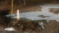 Běžecký lyžařský areál Nová Ves - horní část