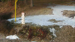 Běžecký lyžařský areál Nová Ves - horní část
