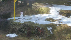 Běžecký lyžařský areál Nová Ves - horní část