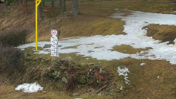 Běžecký lyžařský areál Nová Ves - horní část