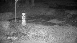 Běžecký lyžařský areál Nová Ves - horní část