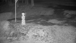 Běžecký lyžařský areál Nová Ves - horní část