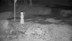 Běžecký lyžařský areál Nová Ves - horní část