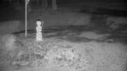 Běžecký lyžařský areál Nová Ves - horní část