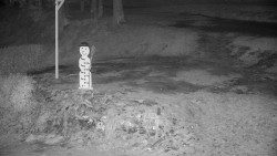 Běžecký lyžařský areál Nová Ves - horní část