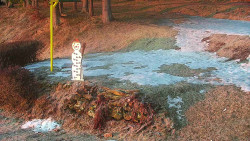 Běžecký lyžařský areál Nová Ves - horní část