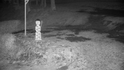 Běžecký lyžařský areál Nová Ves - horní část