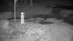 Běžecký lyžařský areál Nová Ves - horní část