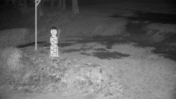 Běžecký lyžařský areál Nová Ves - horní část