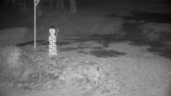 Běžecký lyžařský areál Nová Ves - horní část