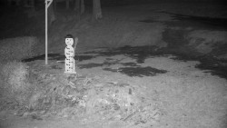 Běžecký lyžařský areál Nová Ves - horní část