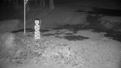 Běžecký lyžařský areál Nová Ves - horní část