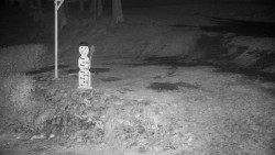 Běžecký lyžařský areál Nová Ves - horní část