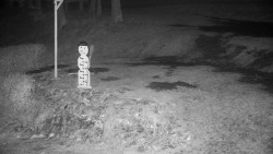 Běžecký lyžařský areál Nová Ves - horní část