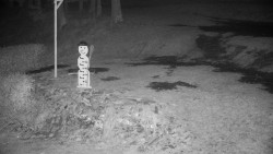 Běžecký lyžařský areál Nová Ves - horní část