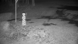 Běžecký lyžařský areál Nová Ves - horní část