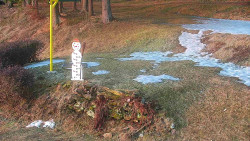 Běžecký lyžařský areál Nová Ves - horní část