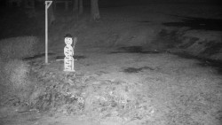 Běžecký lyžařský areál Nová Ves - horní část