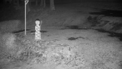 Běžecký lyžařský areál Nová Ves - horní část