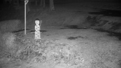 Běžecký lyžařský areál Nová Ves - horní část