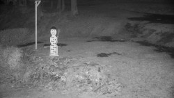 Běžecký lyžařský areál Nová Ves - horní část