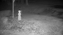 Běžecký lyžařský areál Nová Ves - horní část