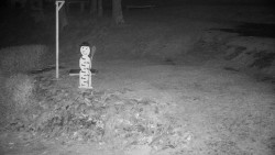 Běžecký lyžařský areál Nová Ves - horní část