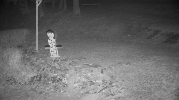 Chata Myslivna SKP Olomouc