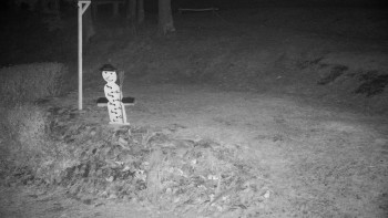 Chata Myslivna SKP Olomouc