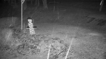 Chata Myslivna SKP Olomouc