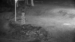 Běžecký lyžařský areál Nová Ves - horní část