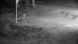 Běžecký lyžařský areál Nová Ves - horní část