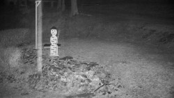 Běžecký lyžařský areál Nová Ves - horní část