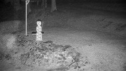 Běžecký lyžařský areál Nová Ves - horní část