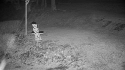 Běžecký lyžařský areál Nová Ves - horní část