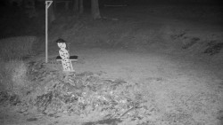 Běžecký lyžařský areál Nová Ves - horní část