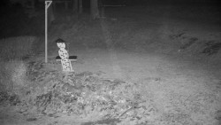 Běžecký lyžařský areál Nová Ves - horní část