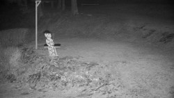 Běžecký lyžařský areál Nová Ves - horní část