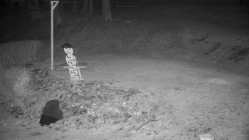 Chata Myslivna SKP Olomouc