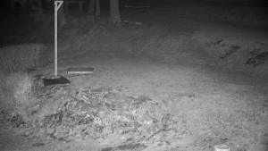 Chata Myslivna SKP Olomouc - Běžecký lyžařský areál Nová Ves - horní část - 30.3.2026 v 04:30