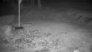 Chata Myslivna SKP Olomouc - Běžecký lyžařský areál Nová Ves - horní část - 30.3.2026 v 05:30