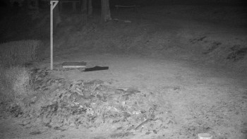 Chata Myslivna SKP Olomouc